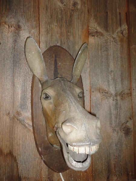 metal donkey head